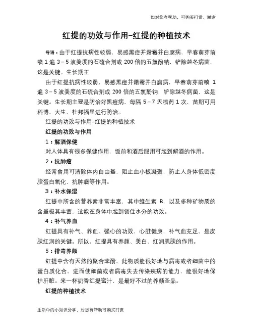 红提的功效与作用-红提的种植技术