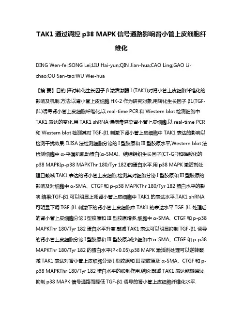 TAK1通过调控p38 MAPK信号通路影响肾小管上皮细胞纤维化