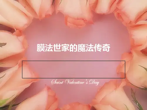 膜法世家的成功秘密PPT课件