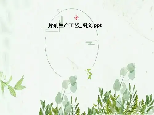 片剂生产工艺_图文