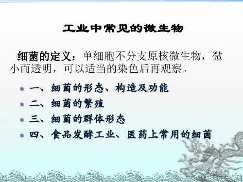 微生物细菌课件