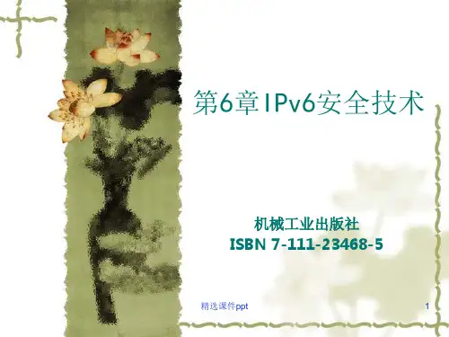 IPv6技术第6章ppt课件