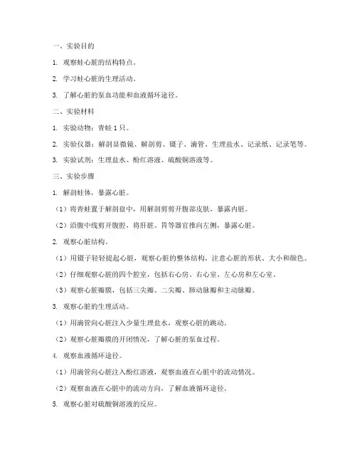 蛙循环实验报告