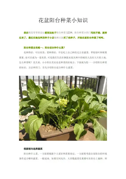 花盆阳台种菜小知识(DOC)