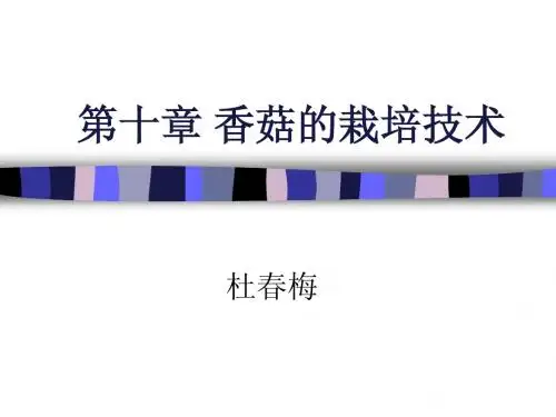 第十章 香菇的栽培技术