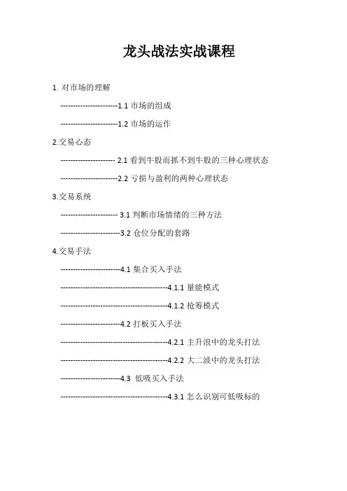 寻龙诀--龙头战法实战课程