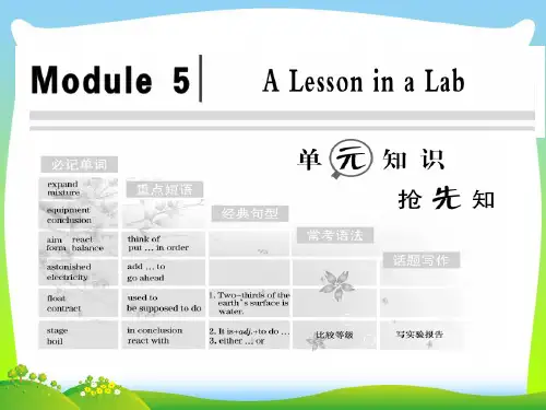高中英语创新方案外研版必修1课件：Unit+5+Section+1