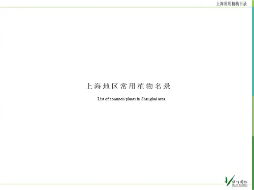 上海市常用园林植物图例、简介