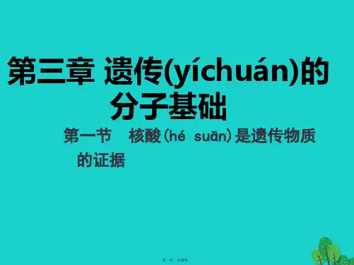 浙江省桐乡市高考生物一轮复习核酸是遗传物质的证据课件新人教版