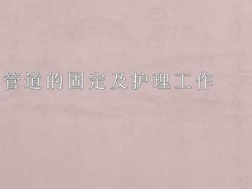 导管的固定及护理工作PPT课件