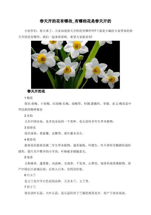 春天开的花有哪些_有哪些花是春天开的