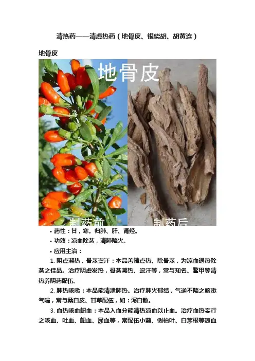 清热药——清虚热药（地骨皮、银柴胡、胡黄连）