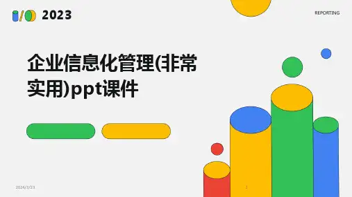 2024年度企业信息化管理(非常实用)ppt课件