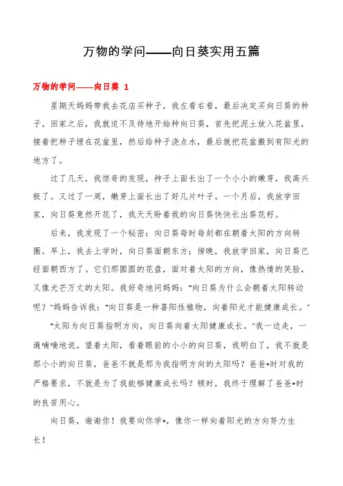 万物的学问——向日葵实用五篇