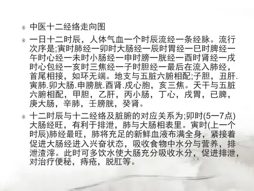 中医十二经络走向_PPT幻灯片