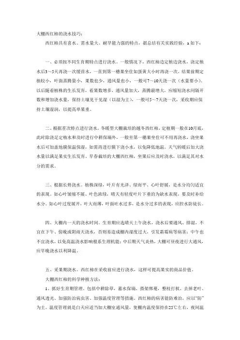 大棚西红柿种植窍门