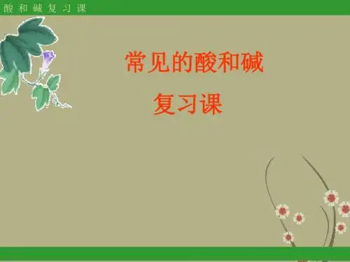 九年级化学全册 常见的酸和碱复习课件