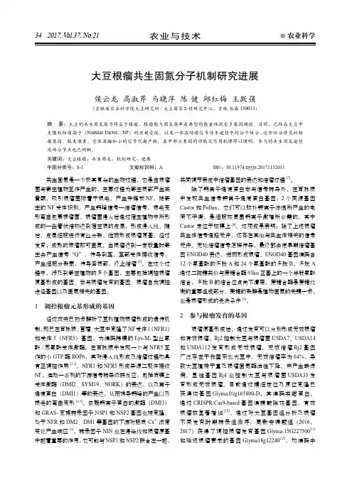 大豆根瘤共生固氮分子机制研究进展