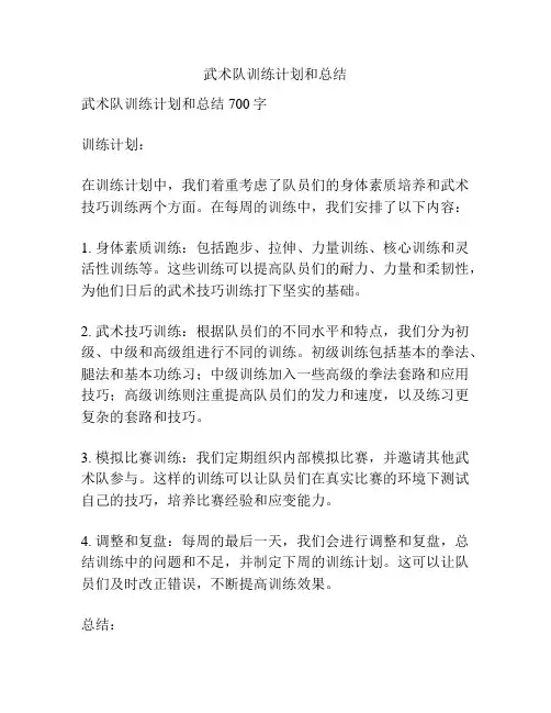 武术队训练计划和总结