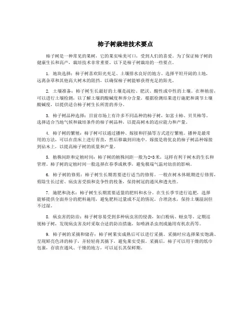柿子树栽培技术要点