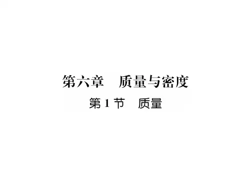 秋人教版八年级物理上册同步作业课件：第6章第1节 质量 (共23张PPT)