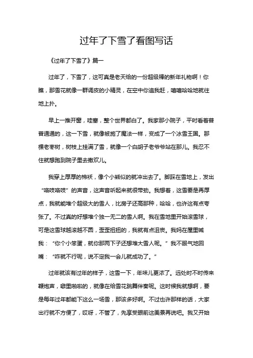 过年了下雪了看图写话