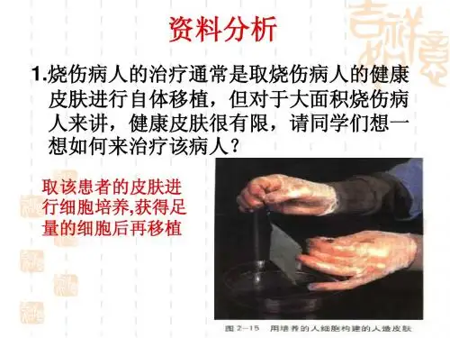 人教版教学课件动物细胞培养和核移植技术2