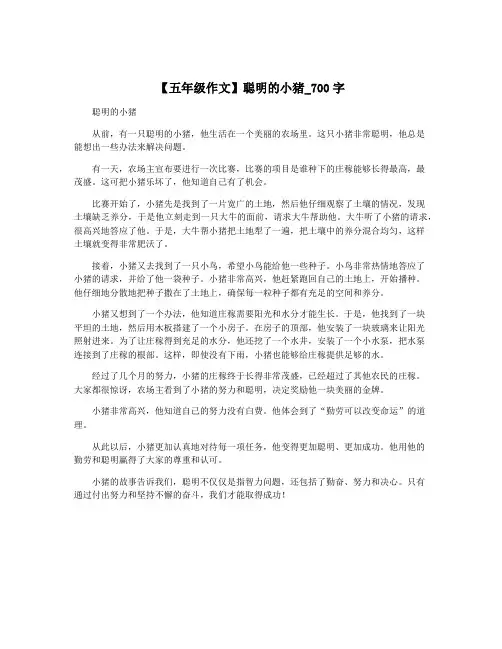【五年级作文】聪明的小猪_700字