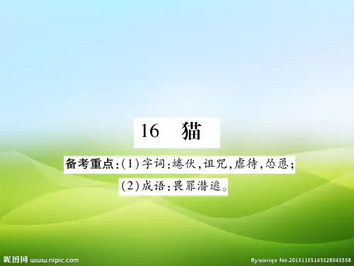 人教版七年级语文上册课件：16 猫(共45张PPT)(优质版推荐)