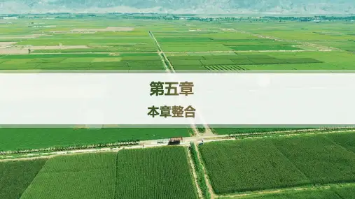 人教版高中地理必修第一册精品课件 第5章 植被与土壤 本章整合