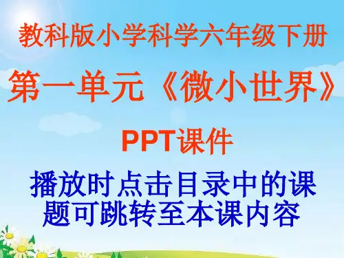 教科版小学科学六年级下册第一单元《微小世界》课件