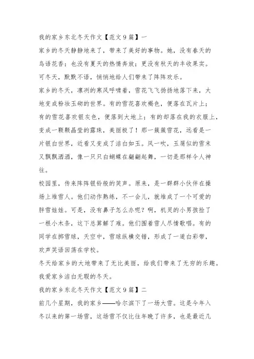 乡情作文东北冬天