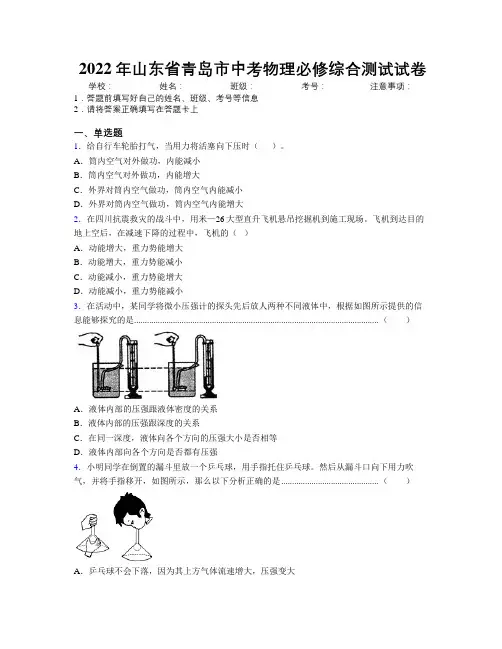 2022年山东省青岛市中考物理必修综合测试试卷及解析