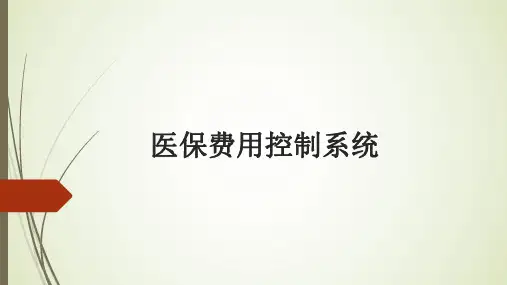 医保费用控制系统解决方案