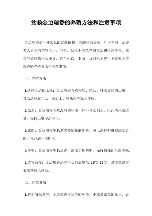 盆栽金边瑞香的养殖方法和注意事项