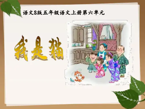 五年级上册语文课件-课文27 我是猫｜语文S版 (共16张PPT)