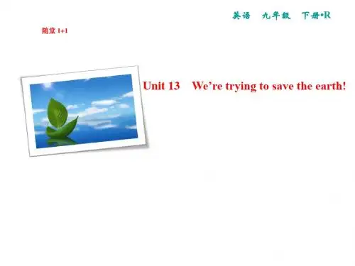 人教版九年级英语下册复习课件Unit 13 单元语法精讲与精练