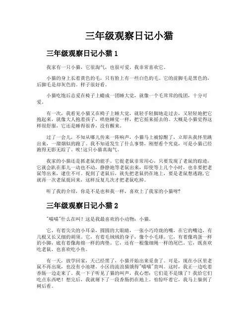 三年级观察日记小猫