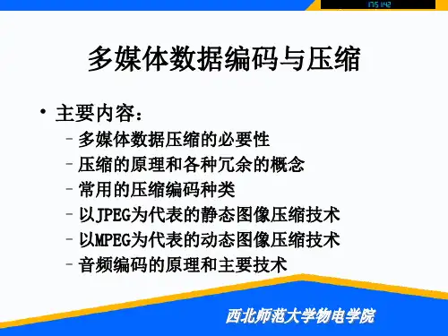 多媒体数据编码与压缩