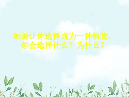 六年级美术下册第10课《竹》课件浙美版