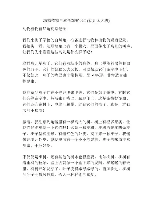 动物植物自然角观察记录(幼儿园大班)