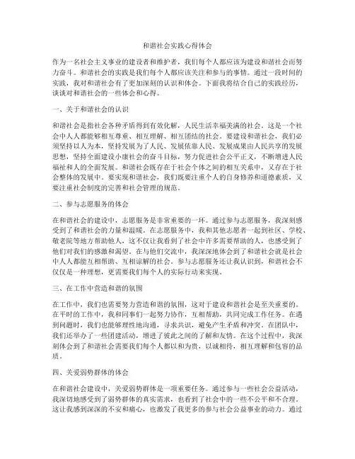 和谐社会实践心得体会