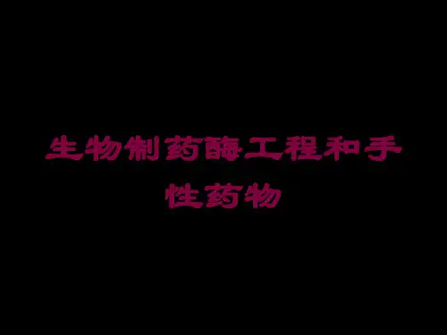 生物制药酶工程和手性药物培训课件