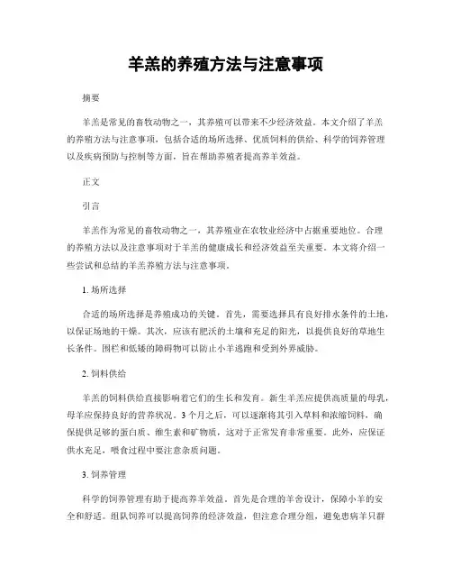 羊羔的养殖方法与注意事项
