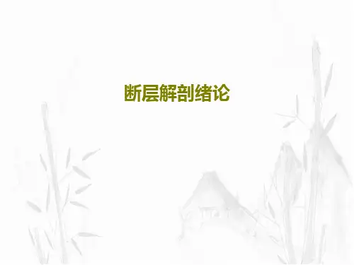 断层解剖绪论30页PPT