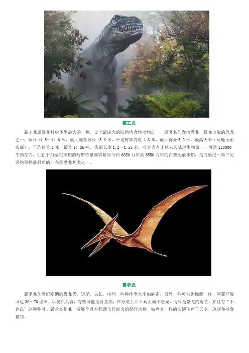 常见恐龙简介