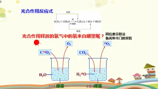 光合作用将光能转化为化学能完整版课件