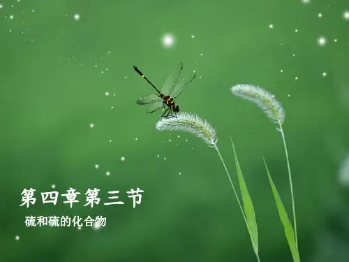 人教版高一化学必修一第四章第二节硫和硫的化合物PPT课件