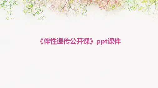 《伴性遗传公开课》ppt课件
