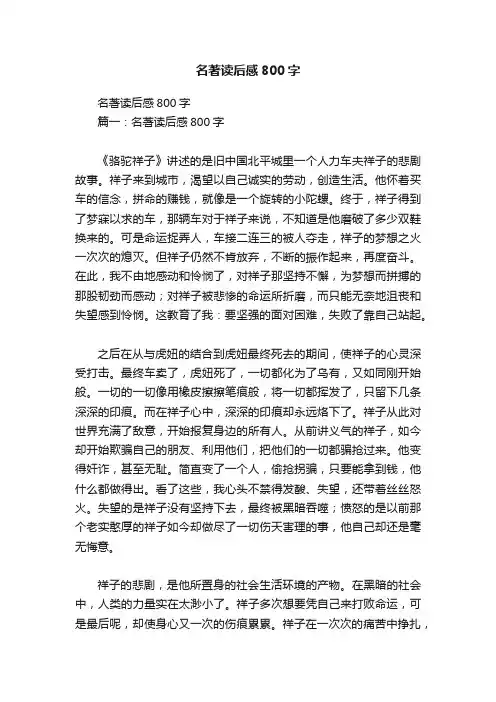 名著读后感800字 2